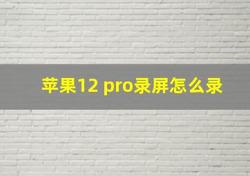 苹果12 pro录屏怎么录